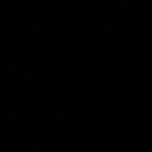 Meet your Posher, Joey